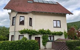 Hirtenrasen 52A